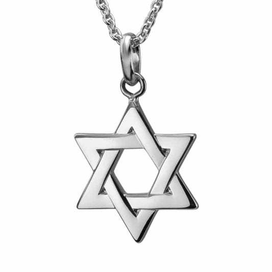 Sterling Silver and Rhodium Star of David Necklace by The Little Jewel